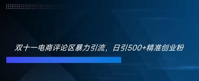 双十一电商评论引流攻略，精准捕获500+创业粉丝！-聚财技资源库