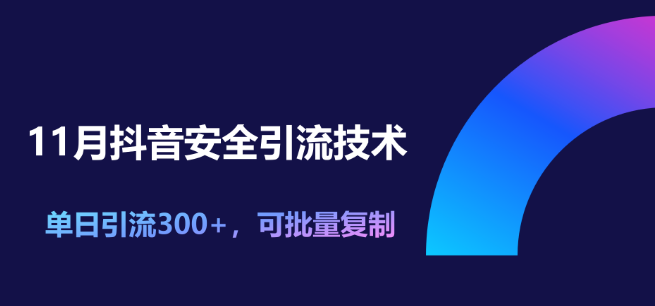 11月最新抖音安全引流秘籍，单日引流突破300，轻松实现批量复制！-聚财技资源库