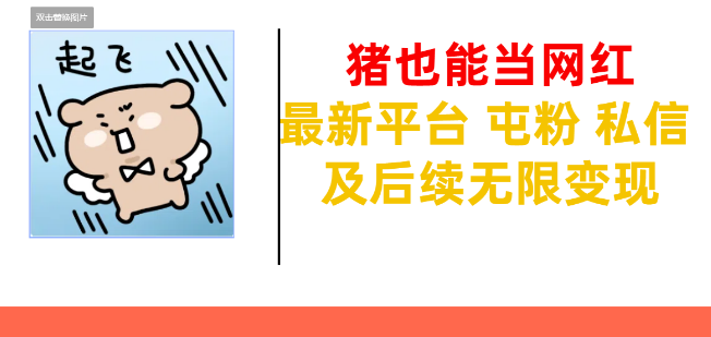 “猪”也能成网红，最新社交平台助力，快速屯粉、高效交流，开启私信互动，解锁无限变现可能！-聚财技资源库