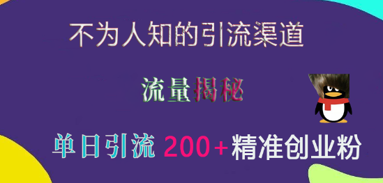 揭秘高效引流新渠道，精准捕获创业粉丝，实测单日引流超200+-聚财技资源库