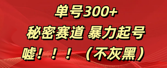 正规赛道快速起号策略，单号日入300+，揭秘高效增长方法！-聚财技资源库