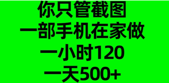 在家兼职新选择，一部手机轻松操作，截图即赚钱，时薪可达120，日入500+！-聚财技资源库