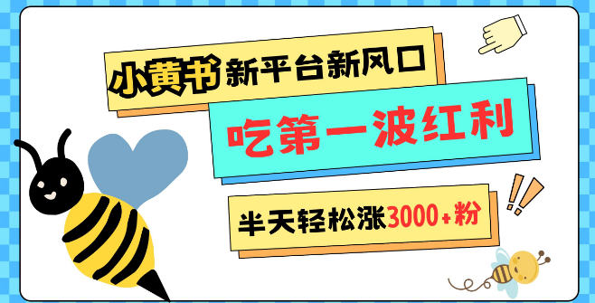 网易版小红书震撼上线，新平台新机遇，宽松管理助力，半天狂揽3000粉，首波红利期等你把握！-聚财技资源库