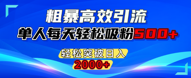 高效引流新策略，单人日吸粉500+，轻松实现日入2000+！-聚财技资源库