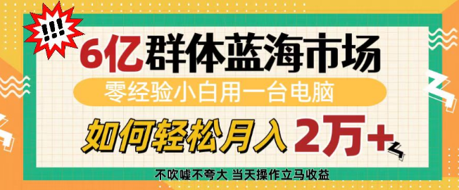 6亿蓝海市场潜力巨大，零经验小白仅凭电脑如何实现轻松月入2万+-聚财技资源库