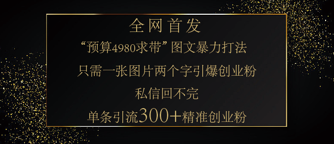 小红书引流秘籍，4980元预算的“带我飞”图片法，轻松打造涨粉，单图引流，单条笔记狂揽300+精准创业粉丝！-聚财技资源库