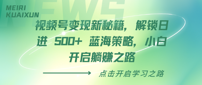 视频号变现最新秘籍，解锁日收益潜力500+蓝海策略，小白也能轻松躺赚！-聚财技资源库